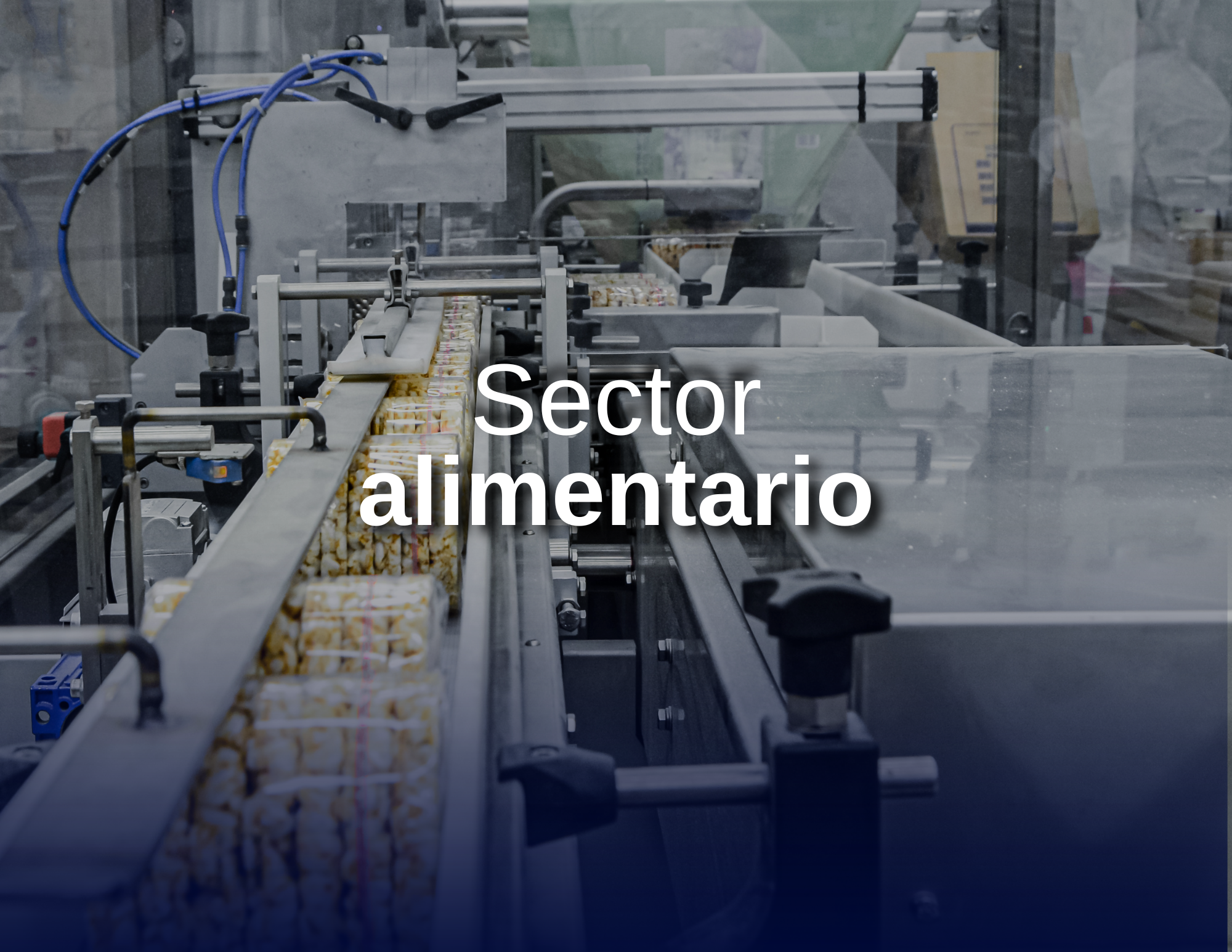 Respuesta inmediata para proyectos y emergencias industriales.